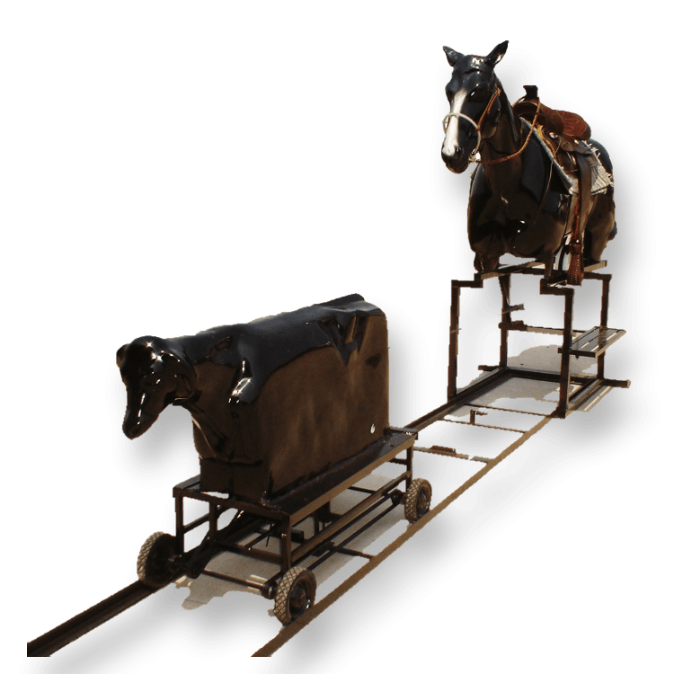 Rodeo Roper Rodeo Roper